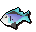 Raw rainbow fish