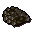 Caviar