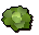 Cabbage