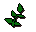 Equa leaves