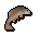 Common tench