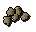 Celastrus seed