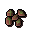 Redwood tree seed