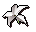 White lily