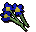 Blue flowers