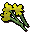 Yellow flowers