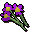 Purple flowers