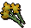 Orange flowers