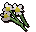 White flowers