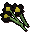 Black flowers