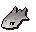 Raw tuna