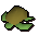 Raw sea turtle