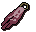 Team-10 cape