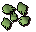 Cactus seed