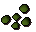 Lantadyme seed