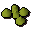 Asgarnian seed