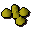Yanillian seed