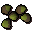 Acorn