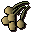 Onion seed