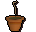 Papaya sapling