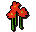 Nasturtiums