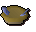 Fish pie